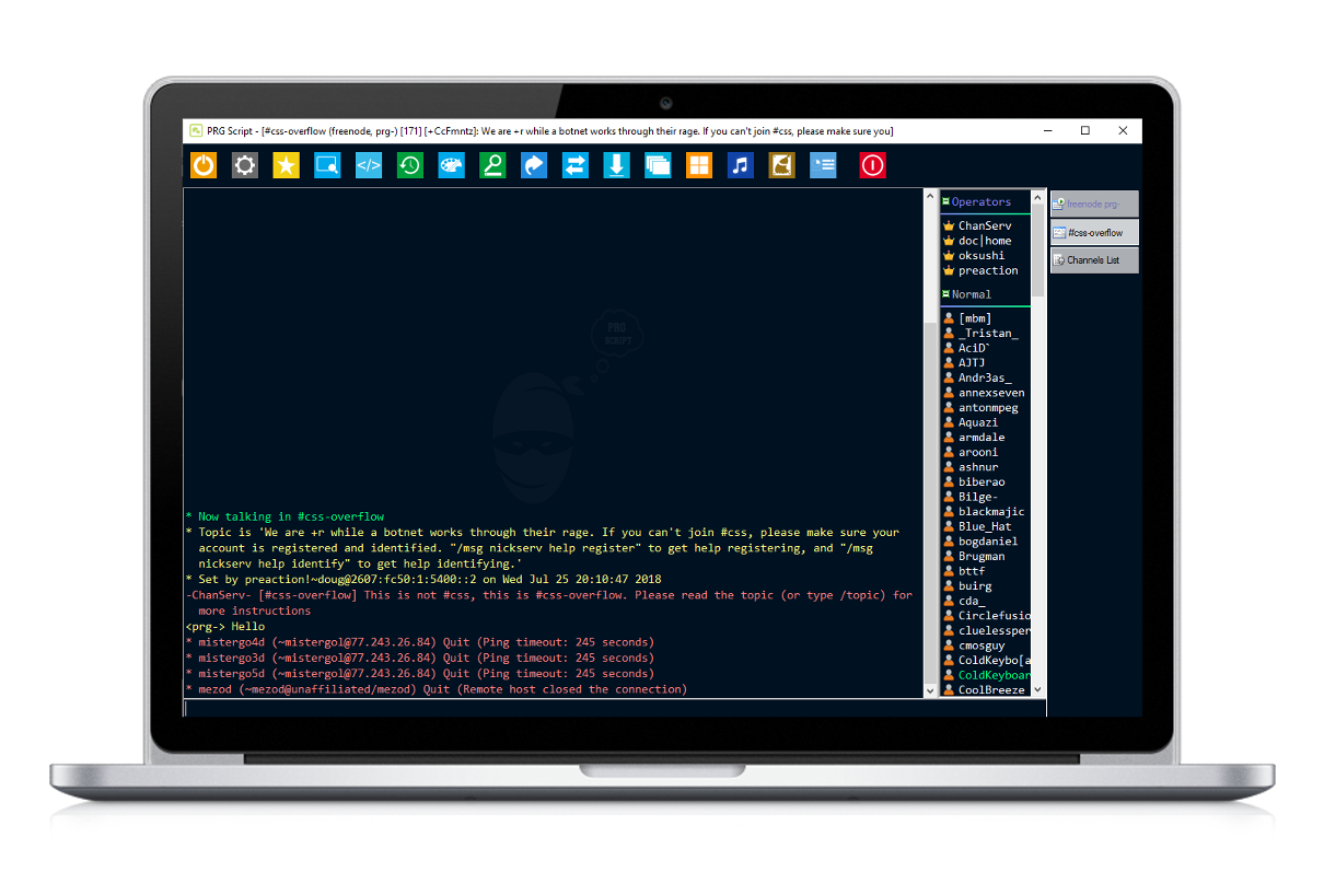 Preview PRG Script